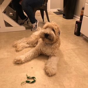 Meet your Posher, Margaret